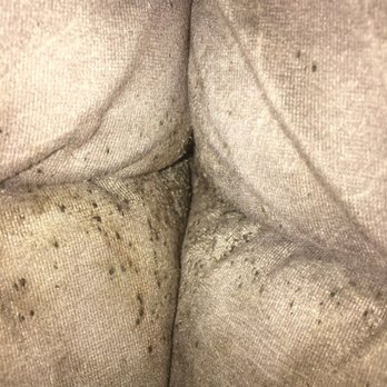 Expert Bed Bug Exterminators - Pest Control Near Me - Sterling Heights, Michigan