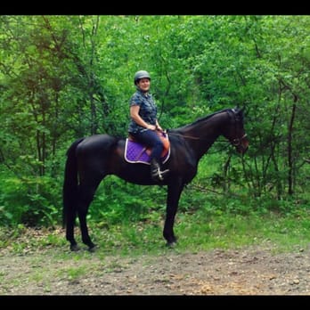 Memory Lane Stables - Horseback Riding Near Me - Willow Springs, Illinois
