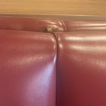 Denny's - Molded food on the seat - Diners Near Me - Elizabethtown, Kentucky