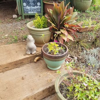Kumu Farms - Farmers Market Near Me - Wailuku, Hawaii Kumu Farms - Farmers Market Near Me - Wailuku, Hawaii