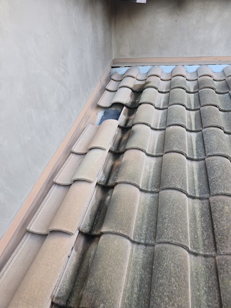 Slide of Tonty Roofer