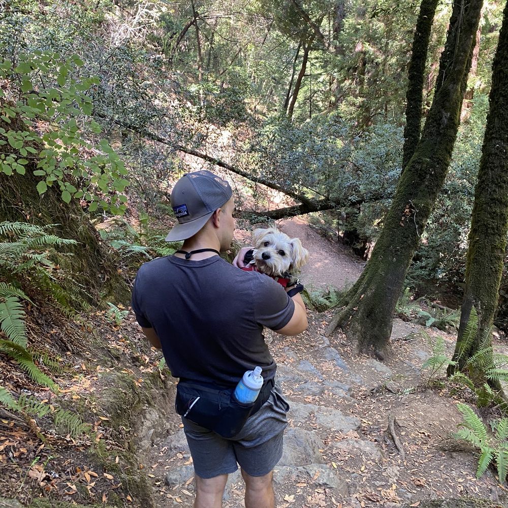 Had to carry the pup down steep rocky parts