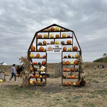 Brand Farms - Fruits & Veggies Near Me - Farmington, Minnesota