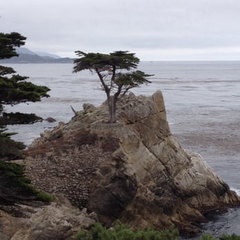 The Lone Cypress - Landmarks & Historical Buildings Near Me - Del Monte Forest, California