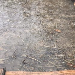 Kosmo Village - This is the LAKE OF WATER around our trailer. Notice the few strands of hay and concrete stepping stone mgmt deems an acceptable solution.