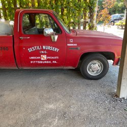 Sestili Nursery