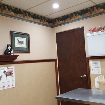 Valley Veterinary Clinic - Inside one of the exam rooms - Veterinarians Near Me - Simi Valley, California Valley Veterinary Clinic - Inside one of the exam rooms - Veterinarians Near Me - Simi Valley, California