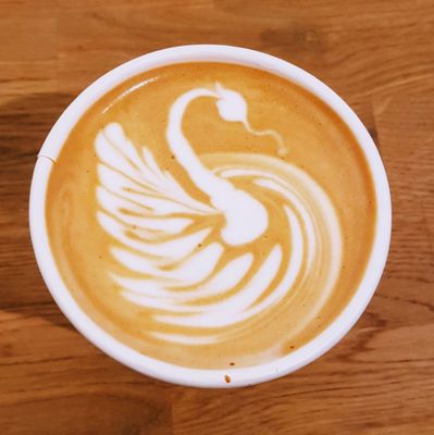 ROAST Coffee by null