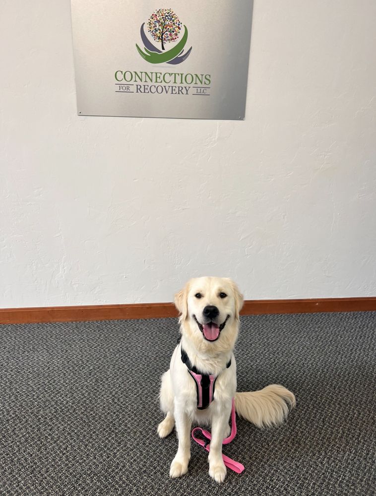 Connections for Recovery - grief counselor in Spencer, MA