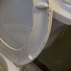 Purity & Harmony Clean - Cleaning a bathroom