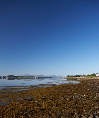 Halen Môn - Anglesey Sea Salt Company by null