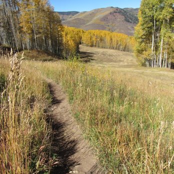 Berrypicker Trail - Beautiful grass fields intersect woodlands - Hiking Near Me
