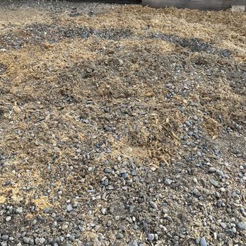 Galvan Tree Services - That's where Sycamore #1 was. Now nothing but mulch which will decompose in not time! - Tree Services Near Me