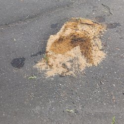 Gray's Outdoor Services - No idea what this is in middle of street ehrn chips were collected.