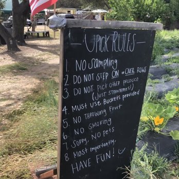 Granny Mays Strawberry Farm - Rules - Pick Your Own Farms Near Me - Granite Bay, California Granny Mays Strawberry Farm - Rules - Pick Your Own Farms Near Me - Granite Bay, California