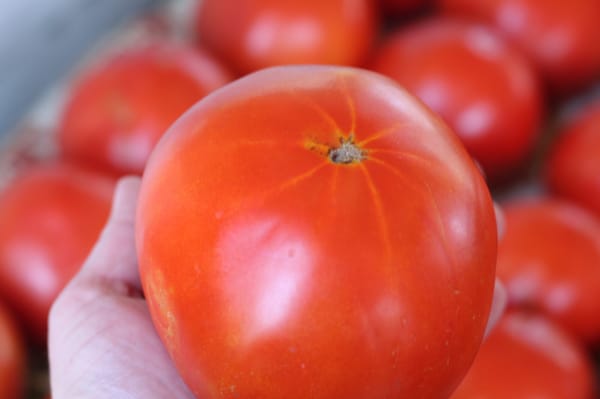 Mount Pleasant Farmers Market by null