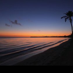 Mcnellis Travel