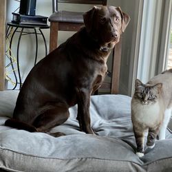 Luna Marie and her sister Coco.