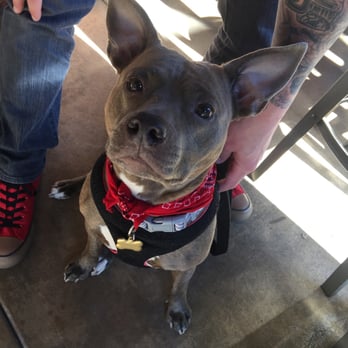Crush & Brew - Luna loves crush n brew! - New American Near Me - Temecula, California