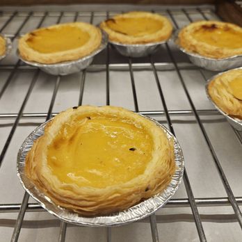 Paris Baguette - Flies on egg tarts - Coffee & Tea Near Me - Millbrae, California Paris Baguette - Flies on egg tarts - Coffee & Tea Near Me - Millbrae, California