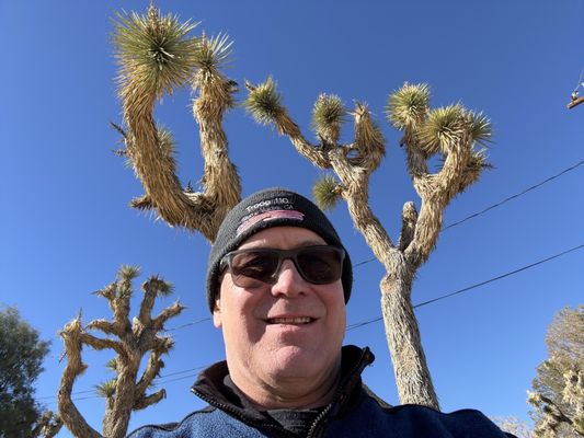 Joshua Tree Inn by null