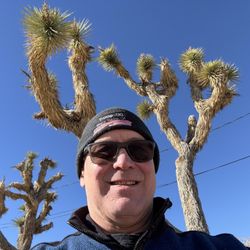 Joshua Tree Inn & Motel - There's no end of Joshua Trees around the property. This is the front yard.