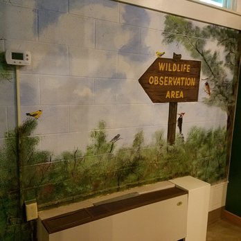 McCormick's Creek State Park - Wildlife observation area mural inside the nature center - Hiking Near Me - Spencer, Indiana McCormick's Creek State Park - Wildlife observation area mural inside the nature center - Hiking Near Me - Spencer, Indiana