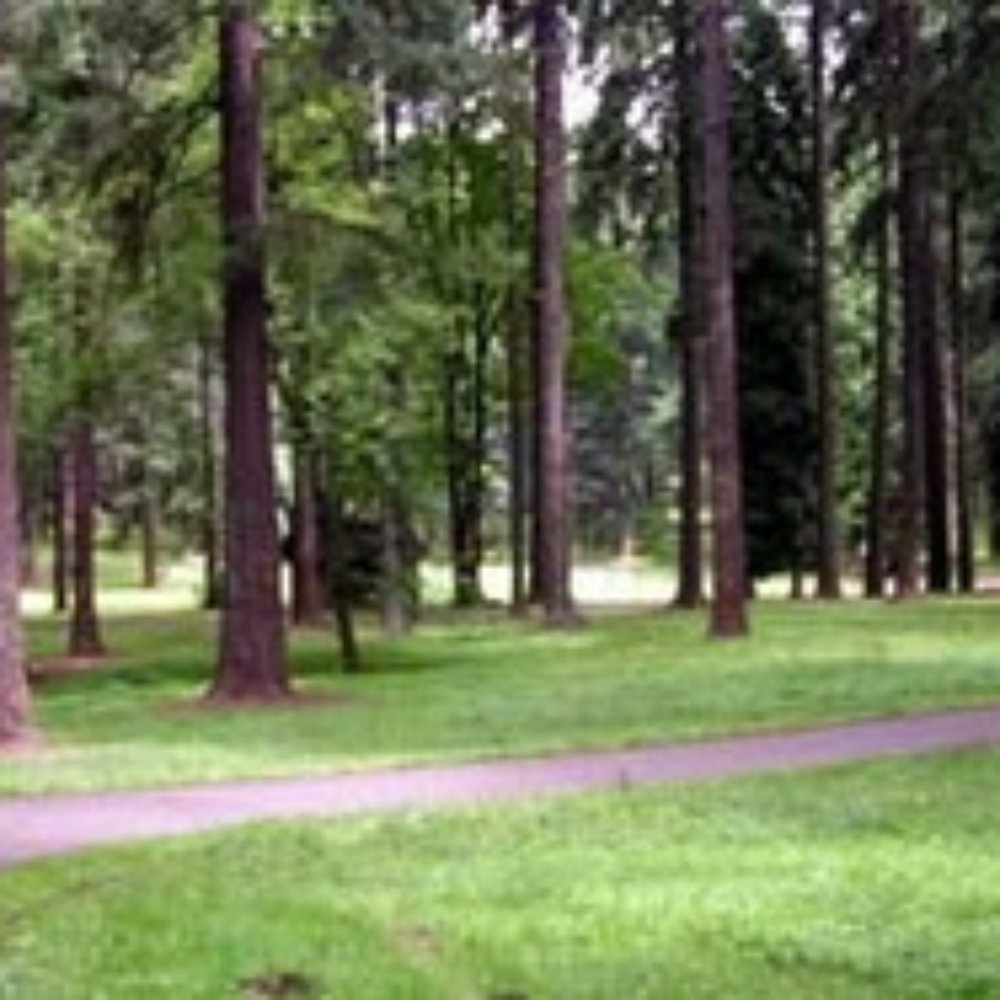 Pier Park - Pier park. - Parks Near Me - Portland, Oregon Pier Park - Pier park. - Parks Near Me - Portland, Oregon
