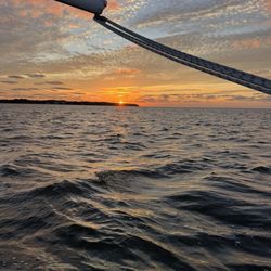 Coastal Sols