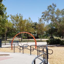 Marie Kerr Park - A look at the landscape and trees.