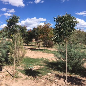 Santa Fe Tree Farm - Nurseries & Gardening Near Me - Santa Fe, New Mexico Santa Fe Tree Farm - Nurseries & Gardening Near Me - Santa Fe, New Mexico