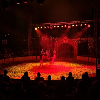 Cirque Ma'Ceo - Venues & Event Spaces Near Me - Lutz, Florida