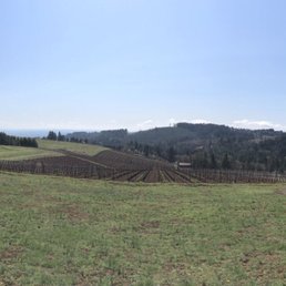The Dundee Hills from Bella Vida Vineyards. The Dundee Hills from Bella Vida Vineyards.
