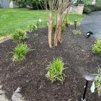 WaterWorks Irrigation - This is a small island bed that had two 12" spray heads re-installed and raised to ensure good coverage across all plantings. - Irrigation Near Me WaterWorks Irrigation - This is a small island bed that had two 12" spray heads re-installed and raised to ensure good coverage across all plantings. - Irrigation Near Me