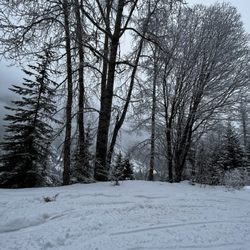 Swan Mountain Snowmobiling