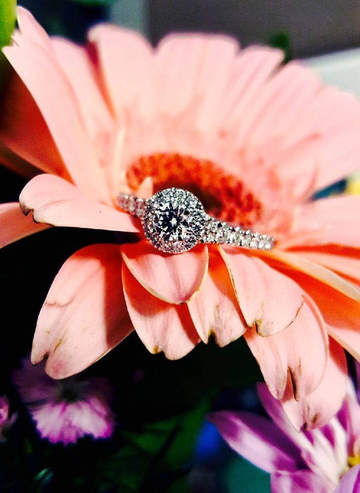 KAY JEWELERS Updated September 2024 23 Reviews 14200 E Alameda Ave, Aurora, Colorado