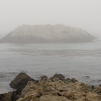 Bird Rock - Beaches Near Me - Pebble Beach, California