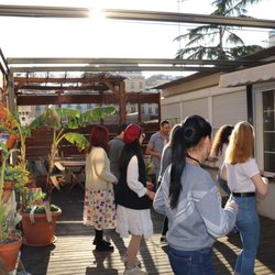 Linguaschools Barcelona - Salsa class at school