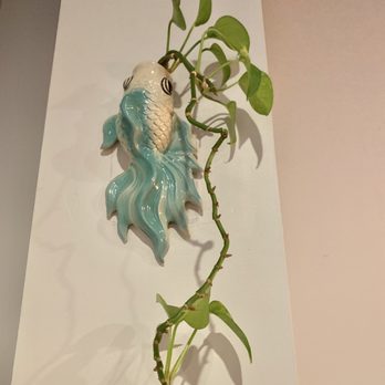 VIP Thai Cuisine - Thai Near Me - Woodridge, Illinois
