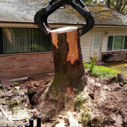 Gentlemens Tree Service