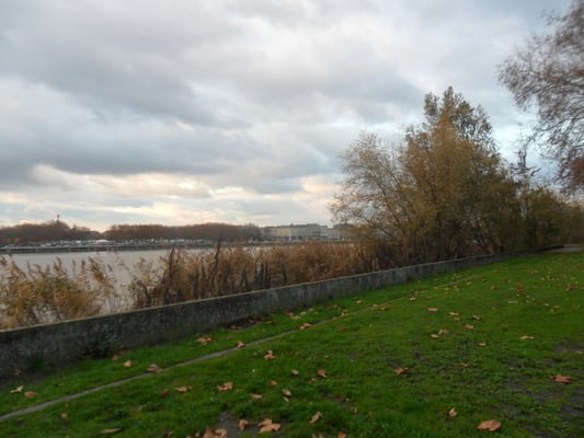 Parc aux Angéliques by null