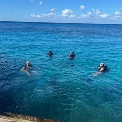 Dive With Cristina