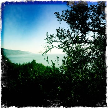 Nepenthe - New American Near Me - Big Sur, California Nepenthe - New American Near Me - Big Sur, California