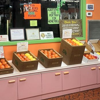 Yellow Banks Groves - Fresh oranges, lemons, grapefruit - Fruits & Veggies Near Me - Largo, Florida Yellow Banks Groves - Fresh oranges, lemons, grapefruit - Fruits & Veggies Near Me - Largo, Florida
