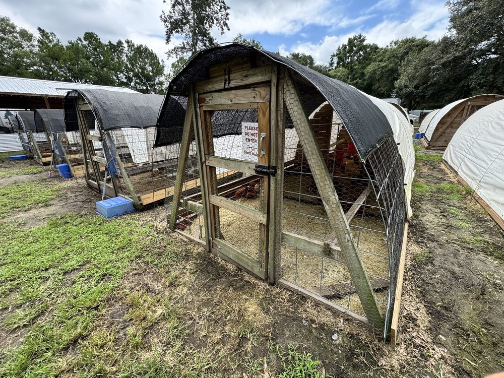 Charley’s Chicks Logo