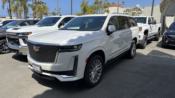 Fascinating Premier Cadillac Buick Gmc Of Carlsbad Pictures