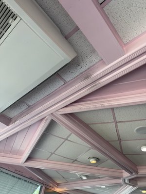 Ritz Diner by null