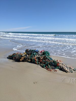 Fortunes Rocks Beach by null