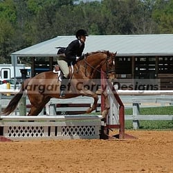 Clarcona Horse Park