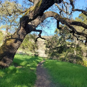 Alum Rock Park - Trail - Parks Near Me - San Jose, California